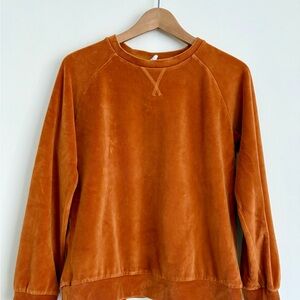 & Other Stories Burnt Orange Velvet Sweatshirt
